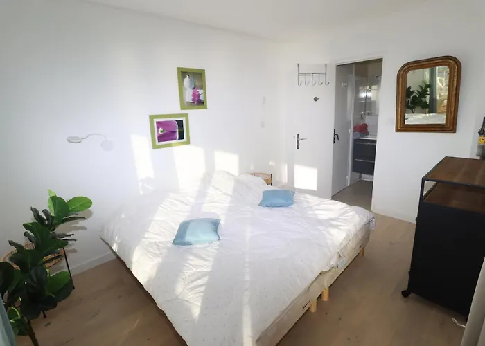 Le Plein Sud By Tranquil At Home - Appartement Face Mer Avec Grande Terrasse